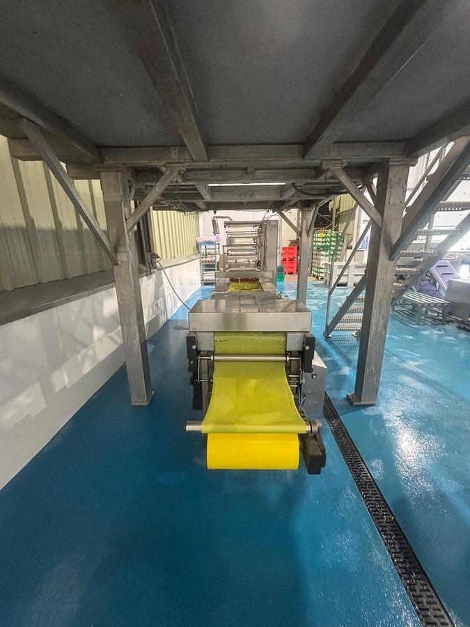 Used 2000 Multivac R530