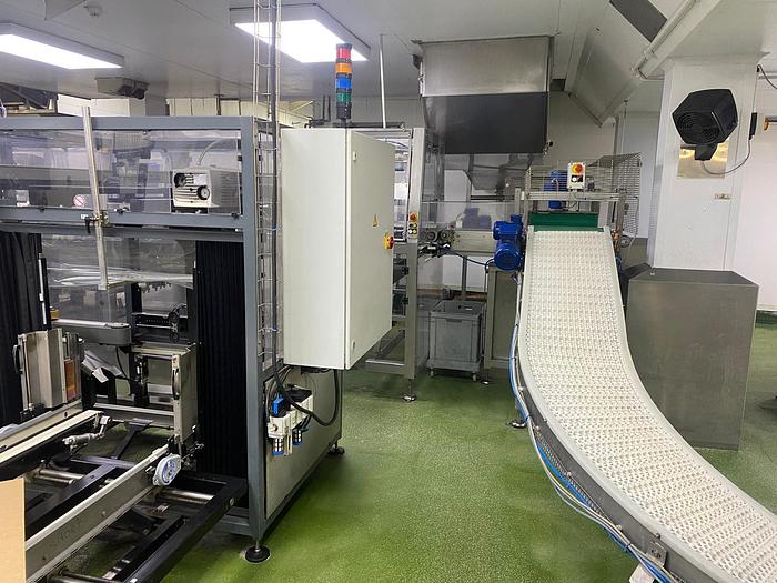 Used 2011 Case Packing Systems (CPS) CP201