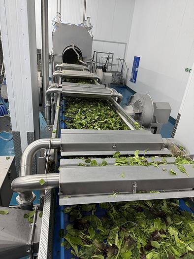 Used 2023 Somac full salad wash + dry salad line