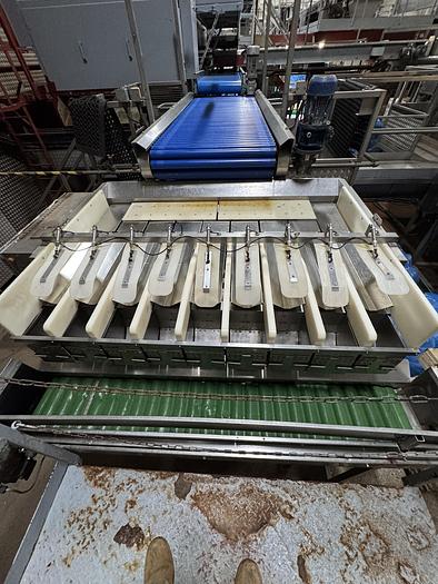 Used Private treaty sale of carrot, parsnip and sweet potato factory