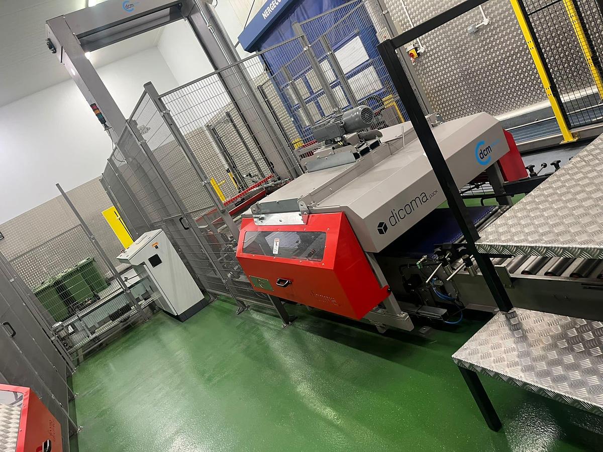 Used Palletiser