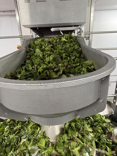 Used 2021 Yamato weigher + GIC bagger full packing line