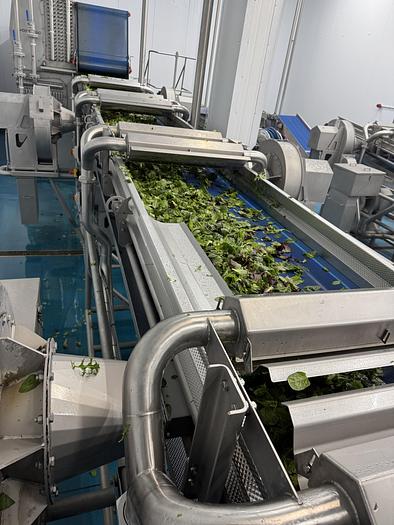 Used 2023 Somac full salad wash + dry salad line
