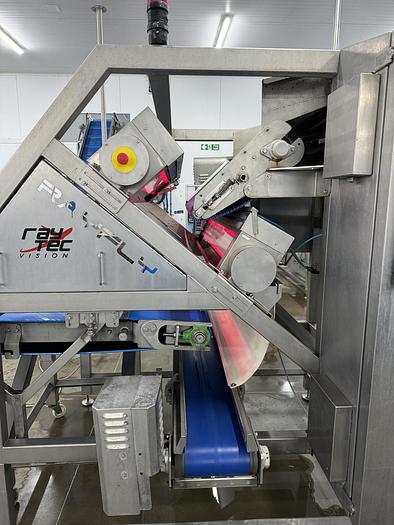 Used Raytec optical sorter