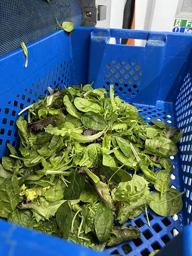 Used 2023 Somac full salad wash + dry salad line