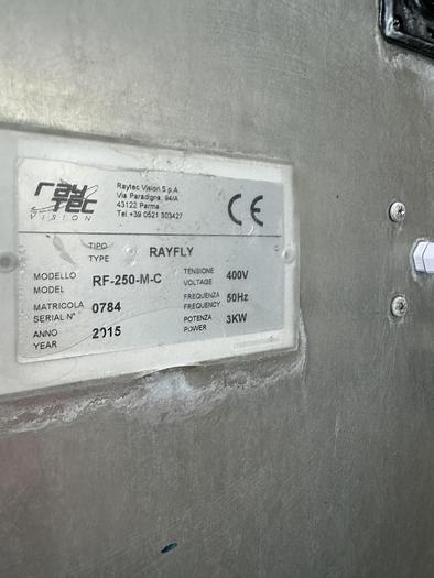 Used Raytec optical sorter