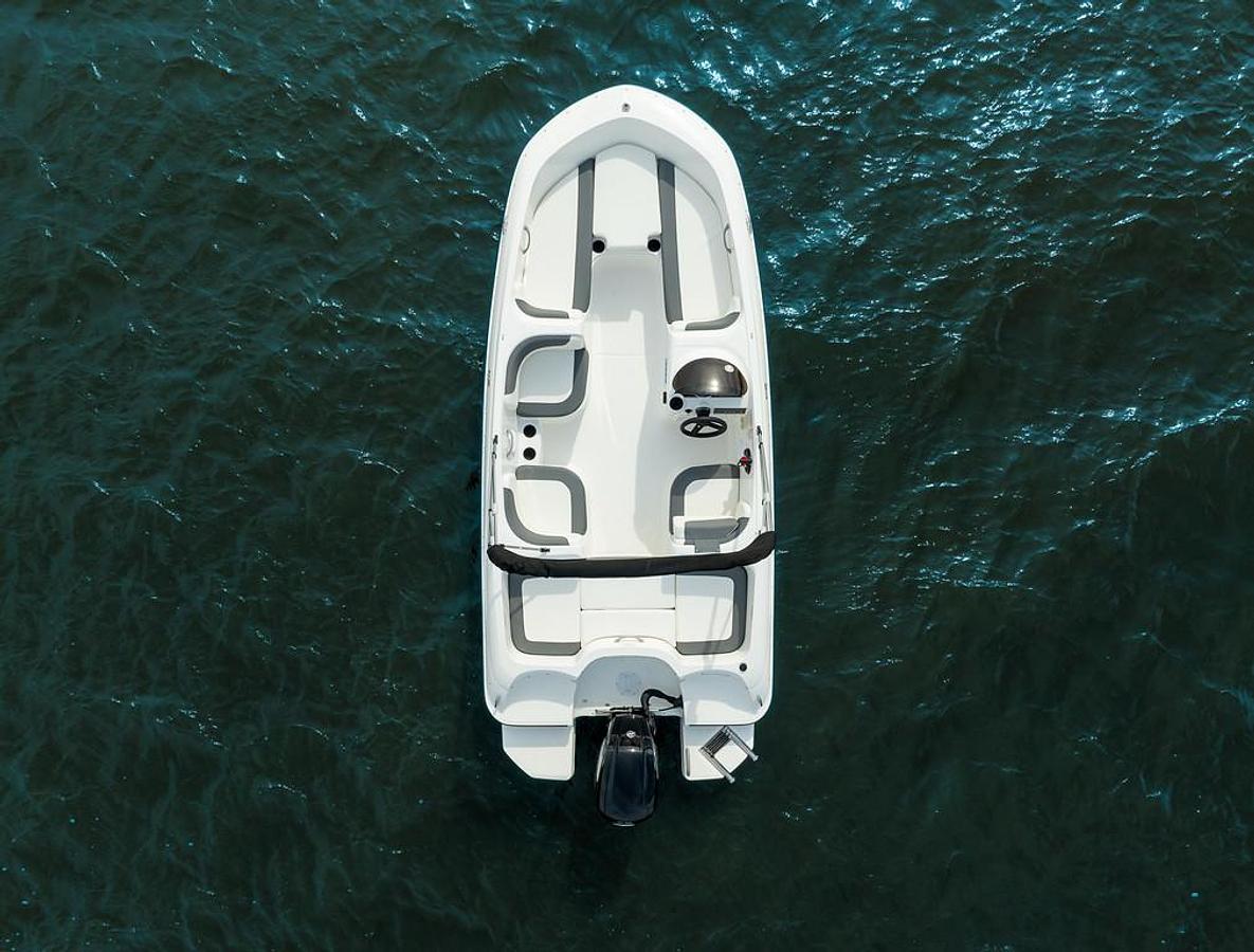 2026 Bayliner Element E16 Limited Edition