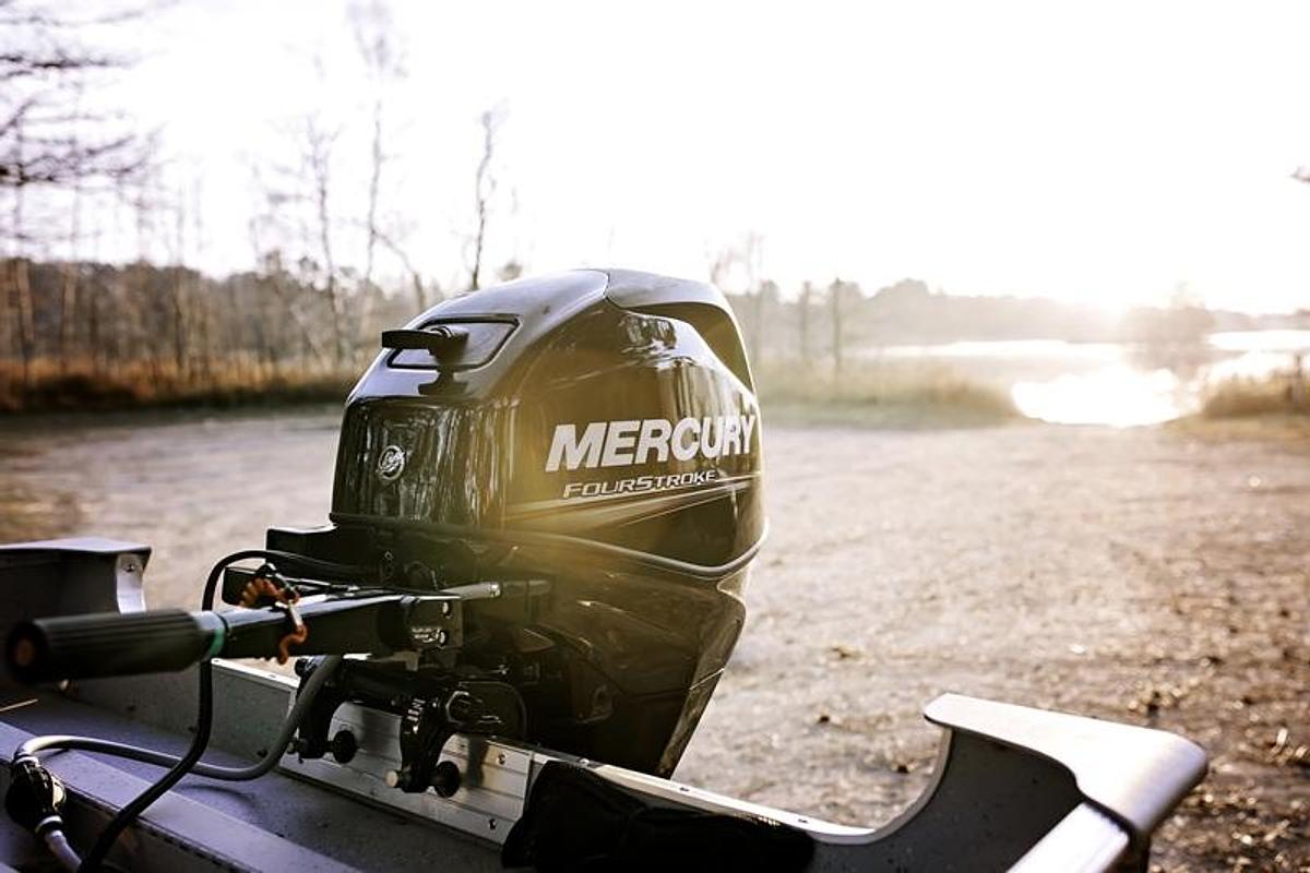 Mercury 25ELHPT