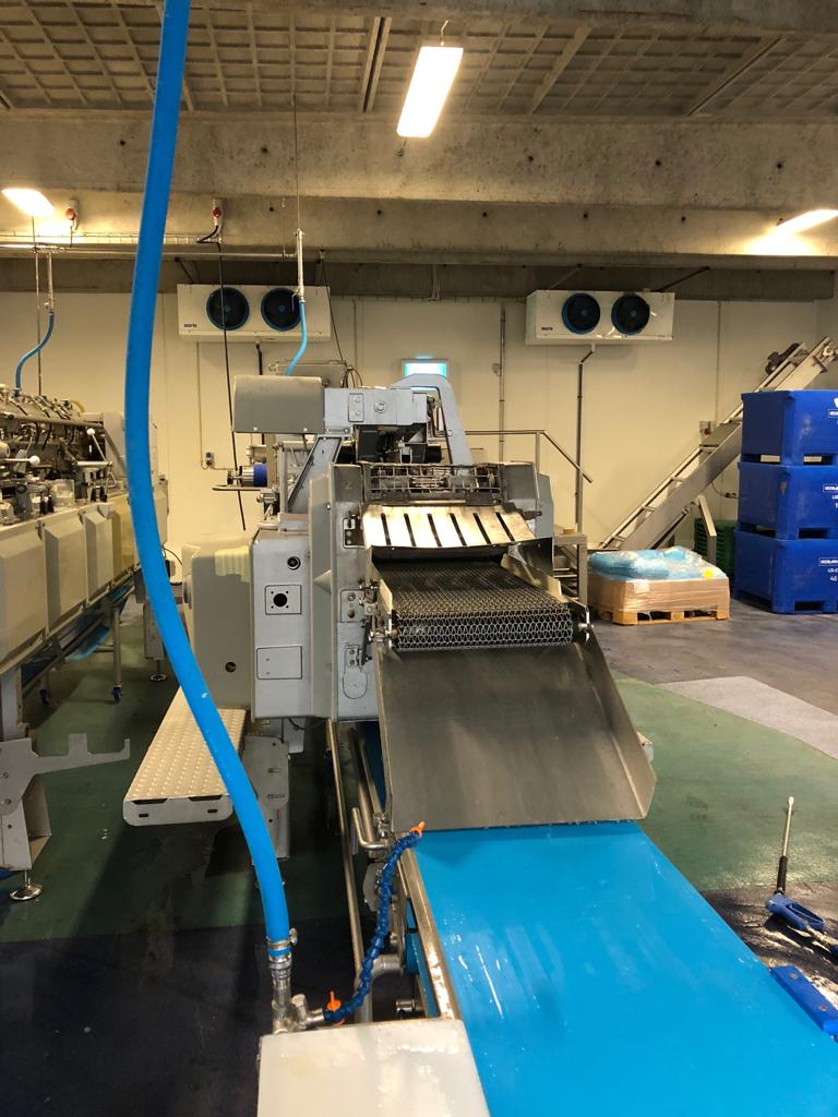 Used 2 x Baader complete cod filleting lines