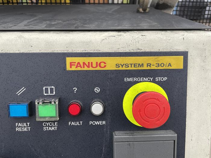 Used FANUC M10IA DUAL ARM ROBOTIC FOAM CELL WITH A/B SIDED INDEX TABLE/COULD CONVERT TO WELD CELL