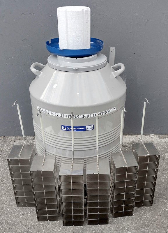 Refurbished Worthington Industries LS4800 Nitrogen Storage Dewar
