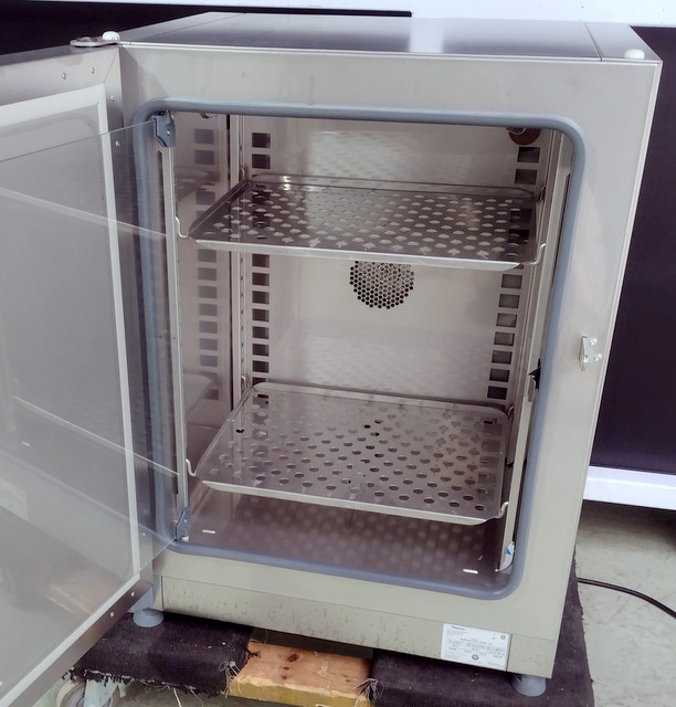 Refurbished Thermo Fisher Isotemp 100L Forced Air Microbiological Incubator