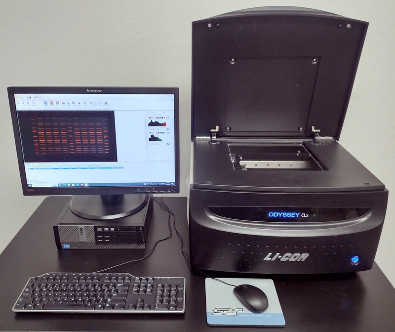 Refurbished Li-Cor Odyssey CLx 9140 Imaging System