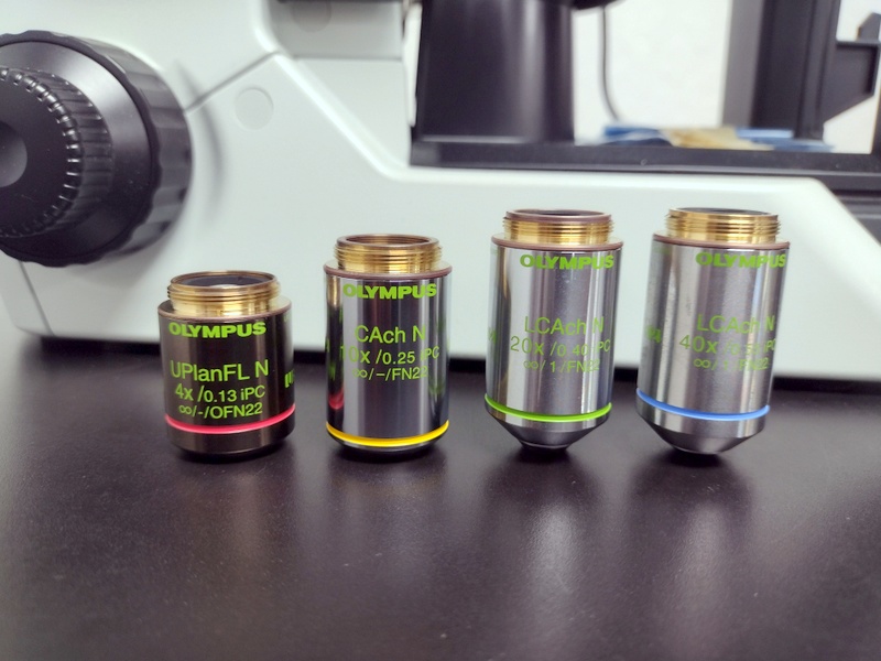 Refurbished Olympus CKX53 Inverted Phase Contrast Microscope