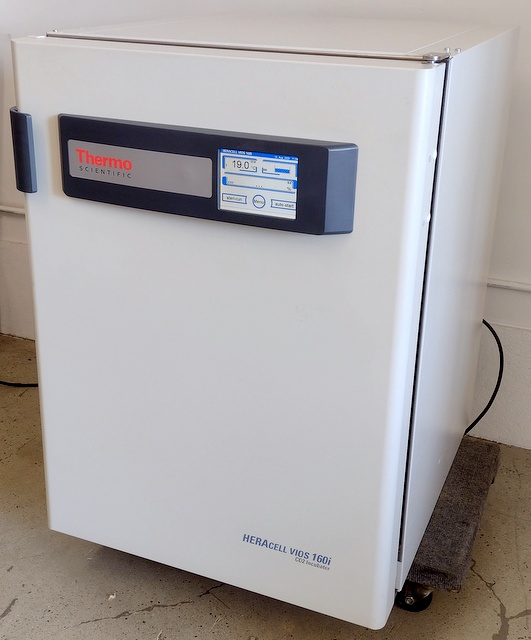 Refurbished Thermo HERAcell Vios 160i Air-Jacketed CO2 Incubator