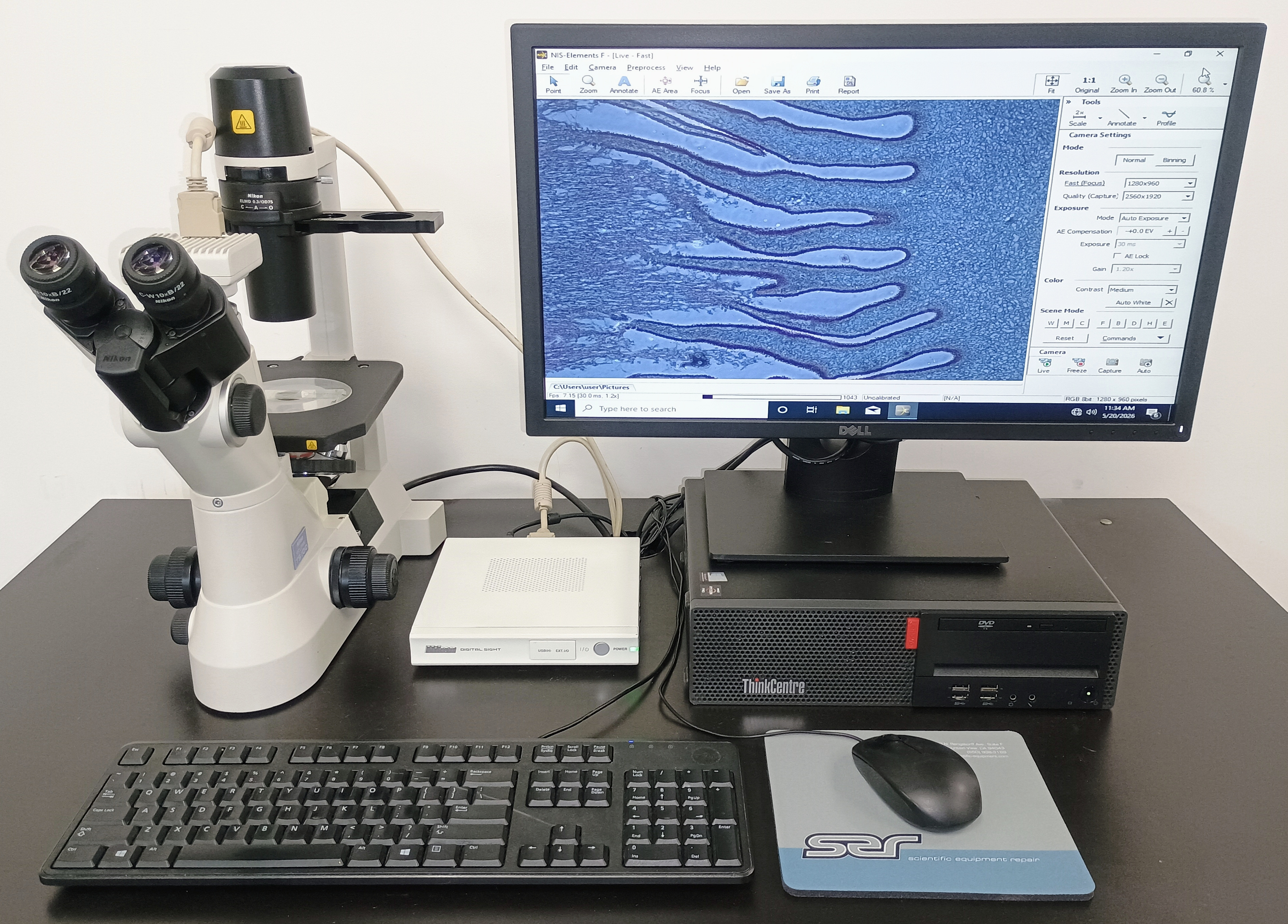 Refurbished Nikon Eclipse TS100 Inverted Phase Contrast Microscope - Trino w/ Nikon DS-Fi1 Camera