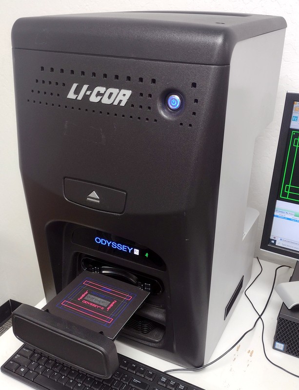 Refurbished Li-Cor Odyssey Fc 2800 Imaging System