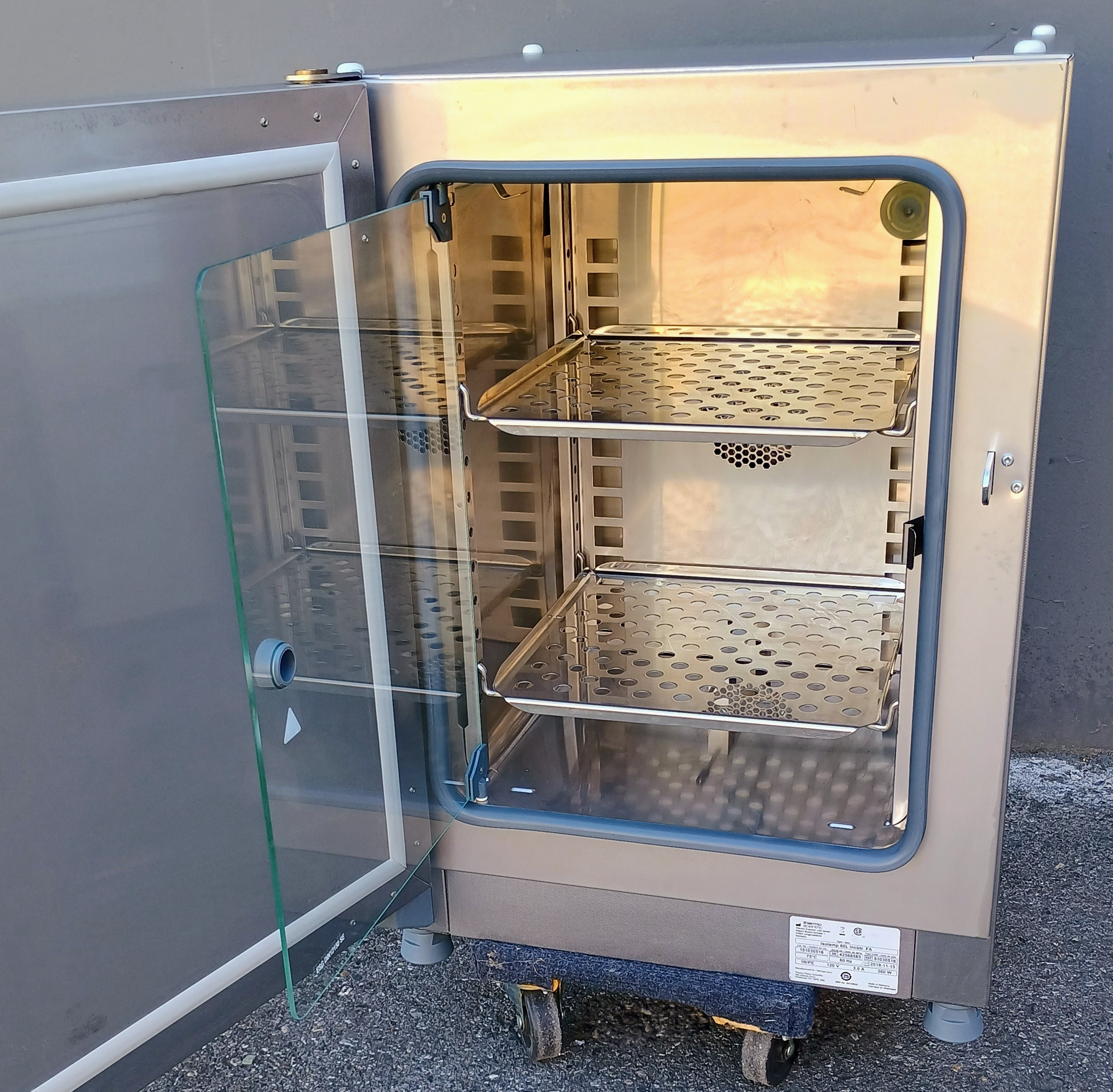 Used Fisher Isotemp 60L Forced Air Microbiological Incubator
