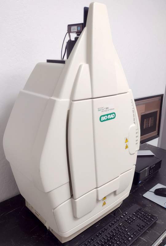 Refurbished Bio-Rad GelDoc XR+ Gel Photo Documentation System