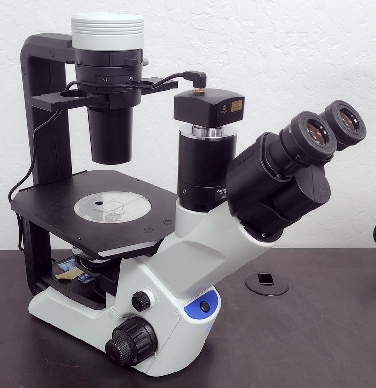 Refurbished Olympus CKX53 Inverted Phase Contrast Microscope