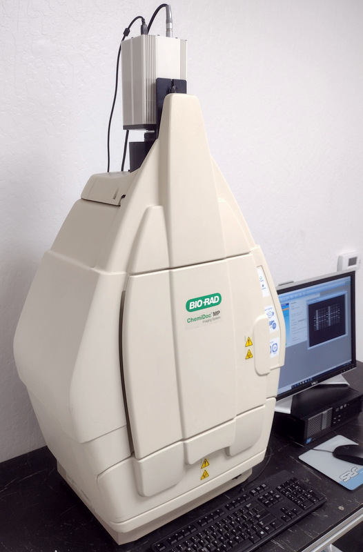 Refurbished Bio-Rad ChemiDoc MP Gel Photo Documentation System