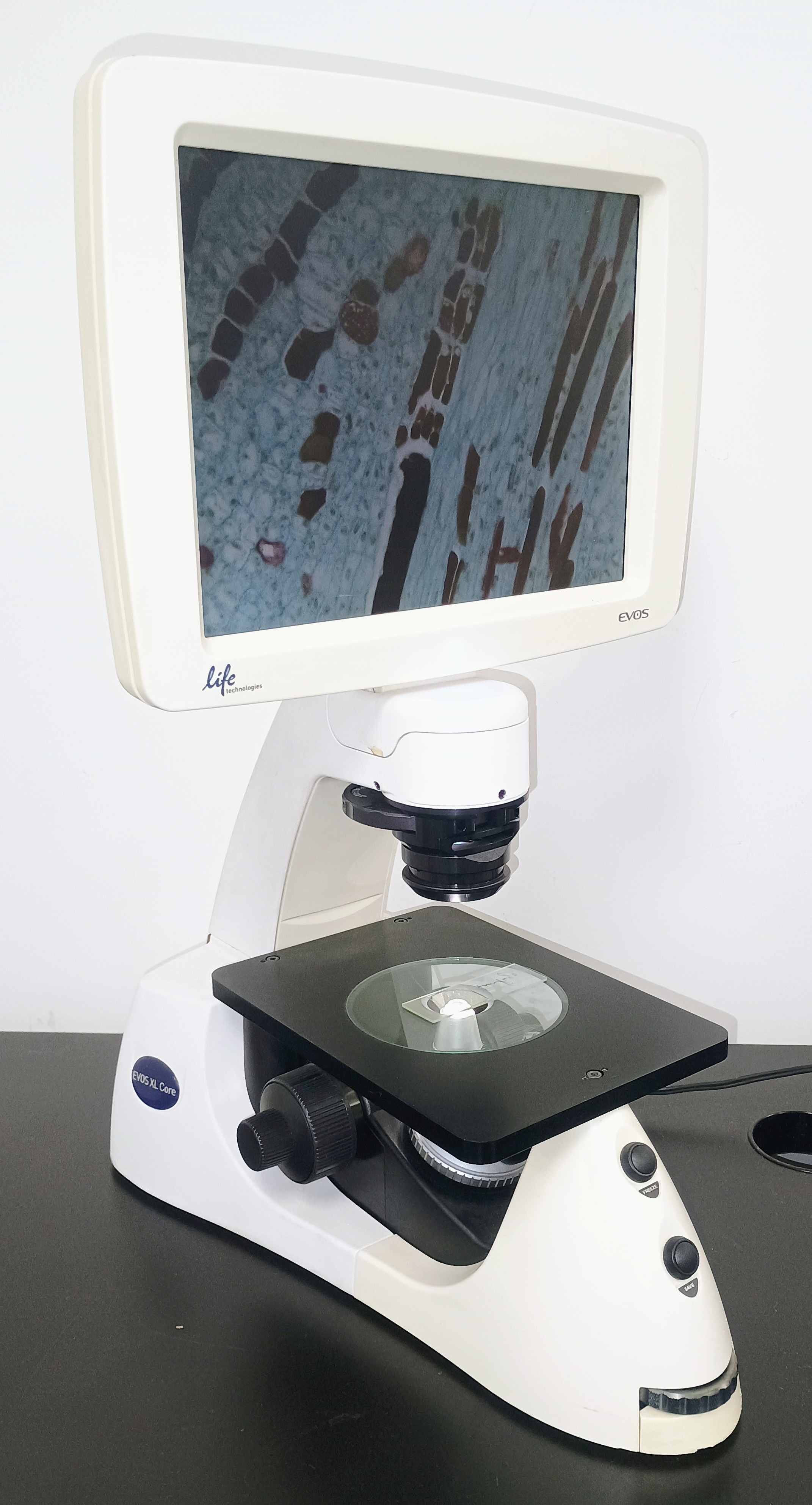 Refurbished Life Technologies EVOS XL Core Inverted Imaging Microscope