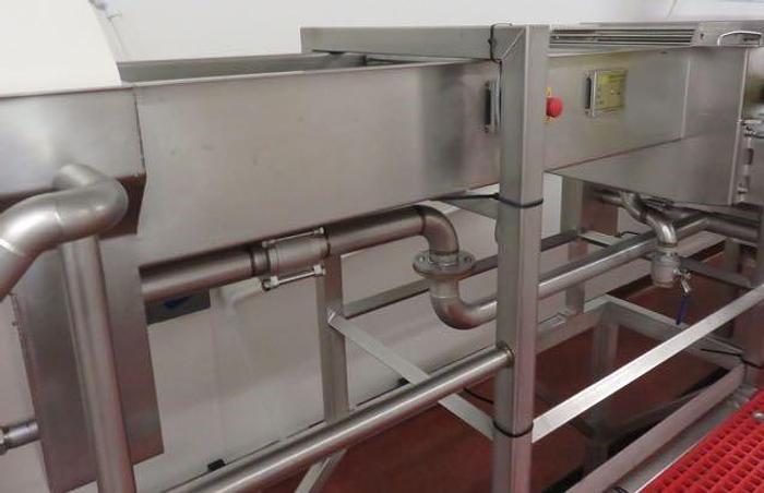 Used DUTCH TECSOURCE VEGETABLE WASHING AND STEAM BLANCHING LINE