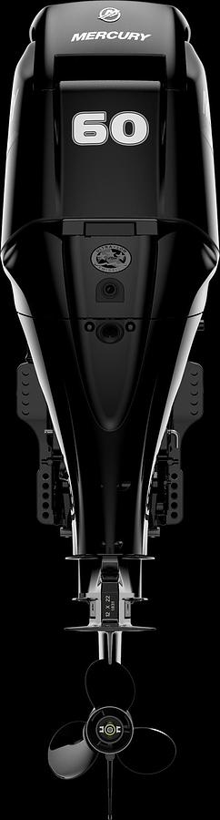 Mercury Fourstroke 40 EFI 4 Cylinder