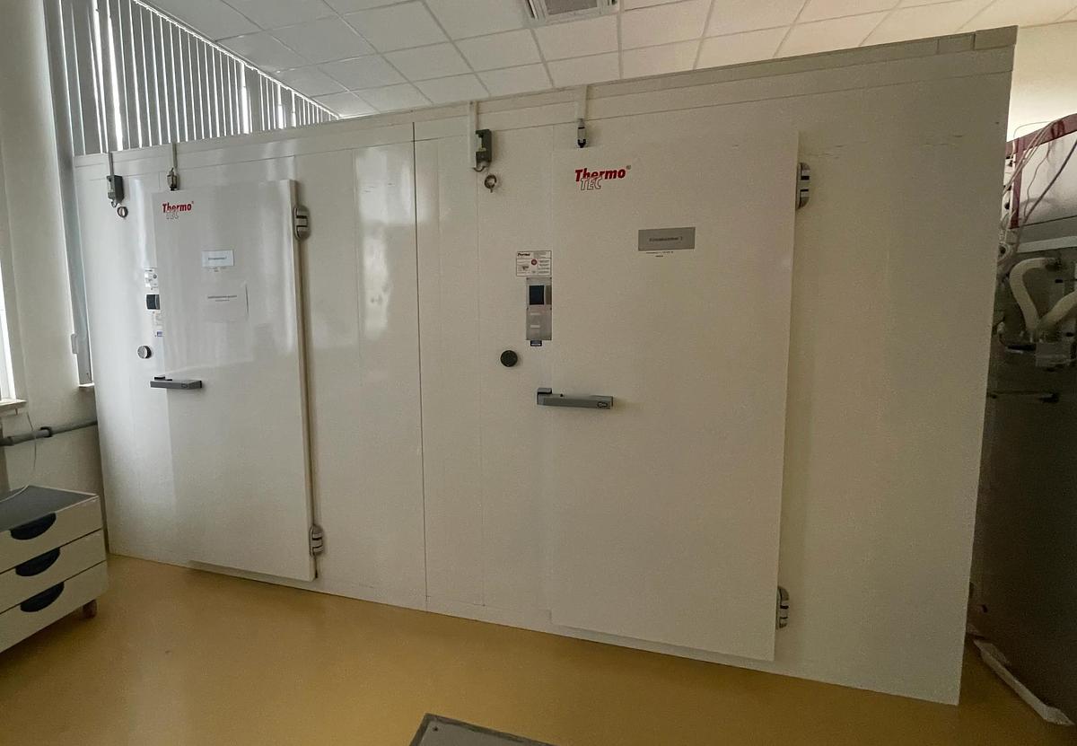 Usato 2009 THERMOTEC