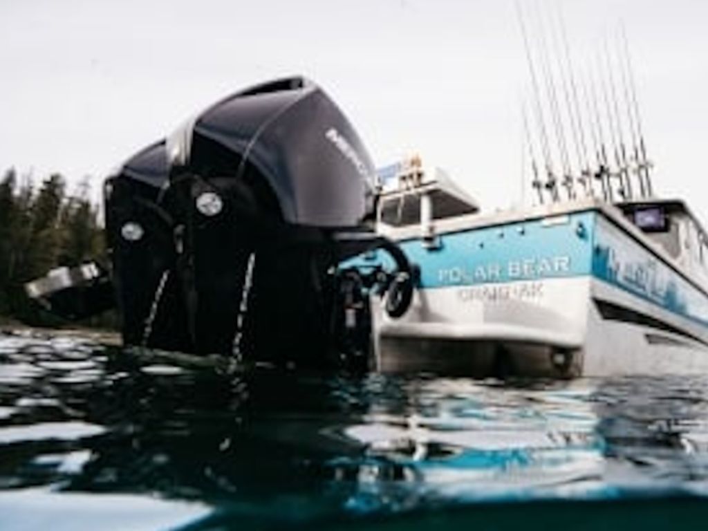 2026 Mercury Marine® FourStroke 175hp Base