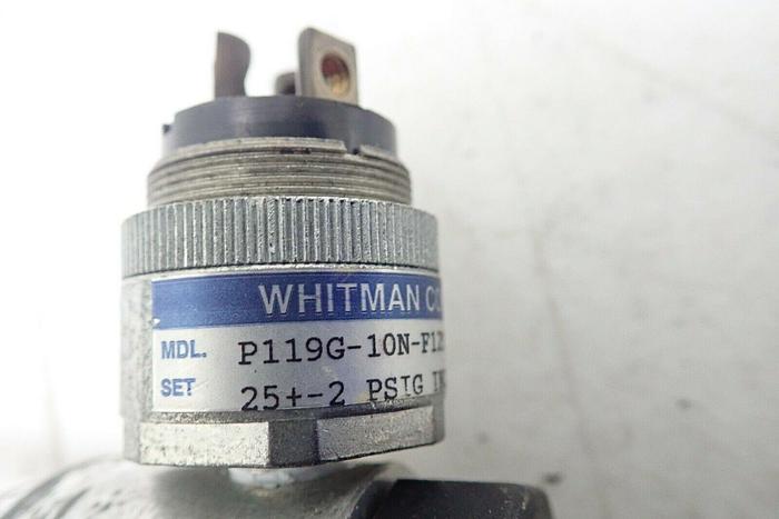 Used Watts Fluidair B548-01AHC/M2 Filter w/ Whitman Controls P119G-10N-F12TS Switch