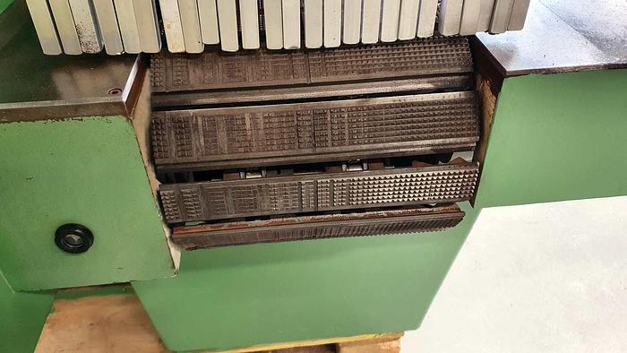 Used Multirip saw Giuntini T300