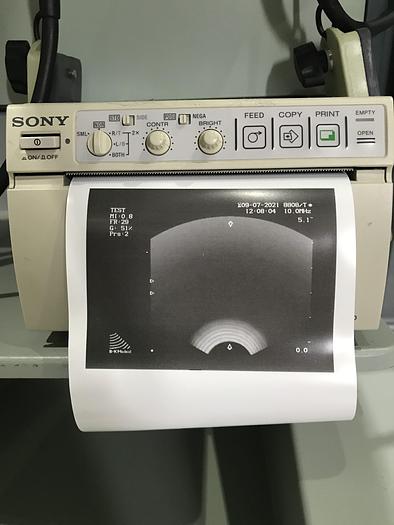 Gebraucht BK Medical 2101 Falcon Ultraschallgerät mit 3 Sonden und Sony Drucker
