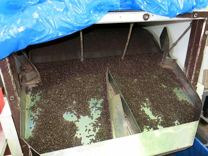 Used Chocolate Chip / Drop/ Button Production Line