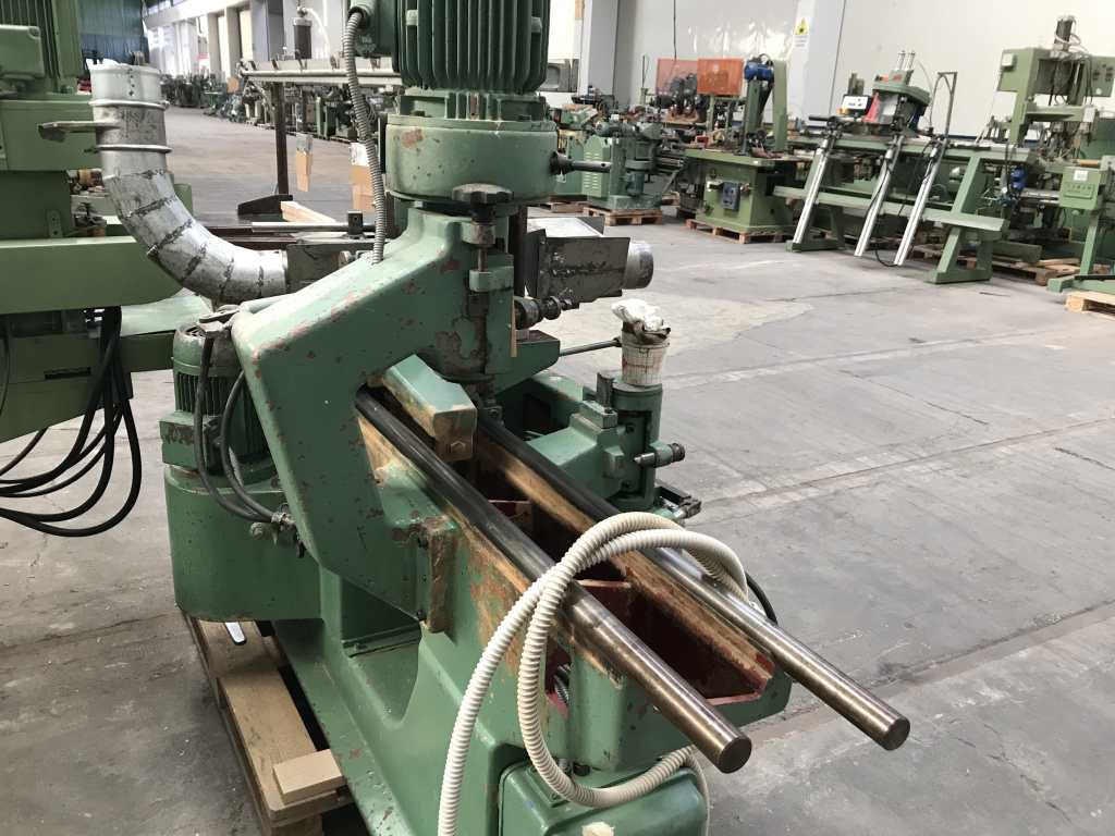 Usato Sagomatrice fresatrice bialbero marca Bacci
