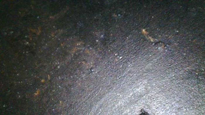 Used Nash CL 2002 Vacuum Pump #44417