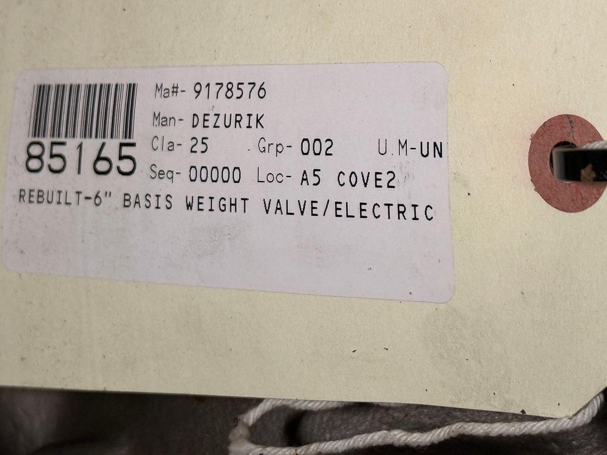 Unused DEZURIK PPE #47118