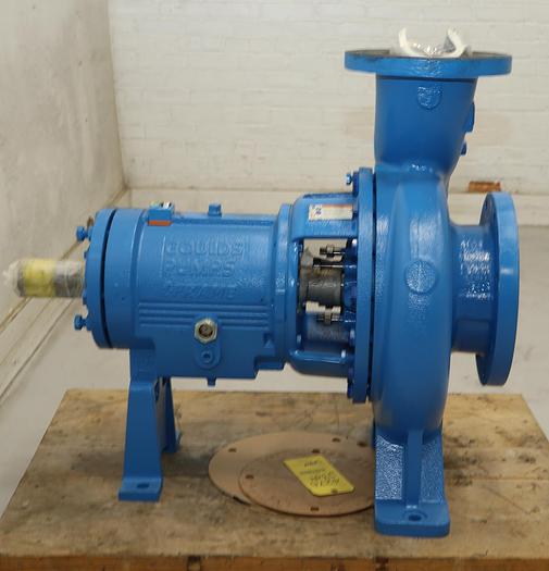 Unused Gould's 3196 6x8x13 Pump #45817