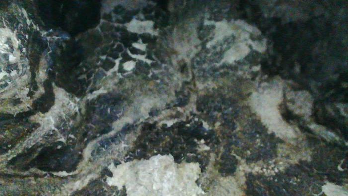 Used Nash CL 2002 Vacuum Pump #44834