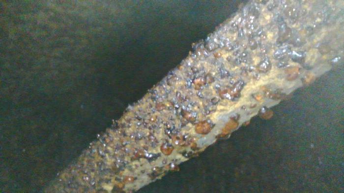 Used Nash CL 3002 Vacuum Pump #45480