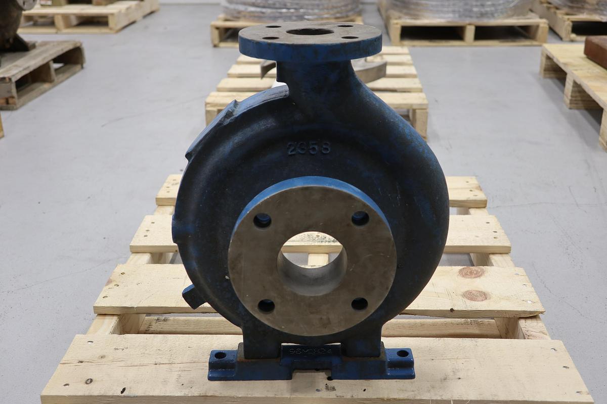 Unused Goulds 3196MT 2x3x10 Casing #47389
