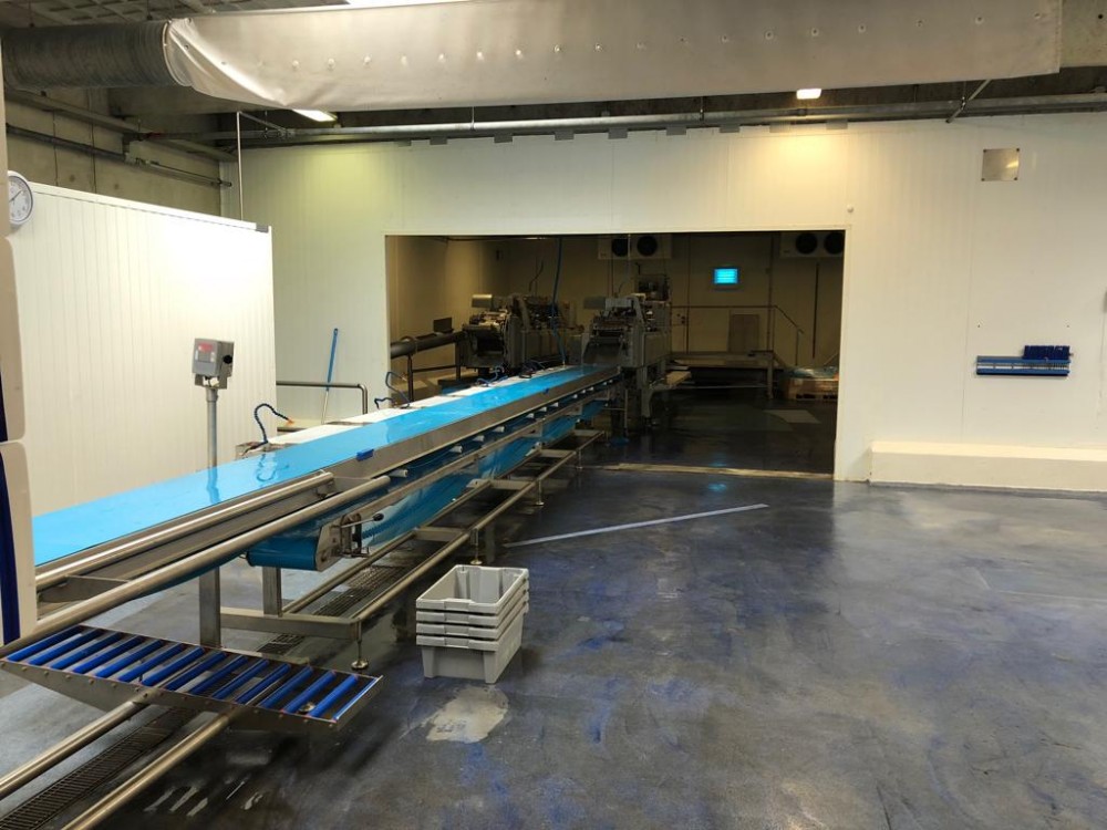 Used 2 x Baader complete cod filleting lines