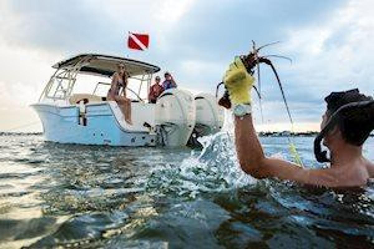 2026 Grady-White Freedom 307