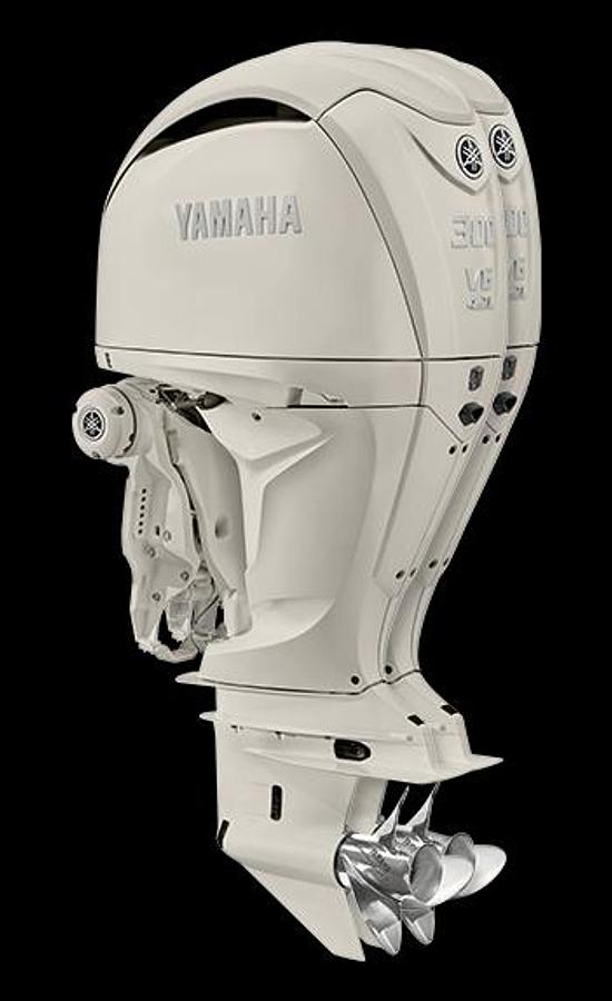 Freedom 307
30' DUAL CONSOLE