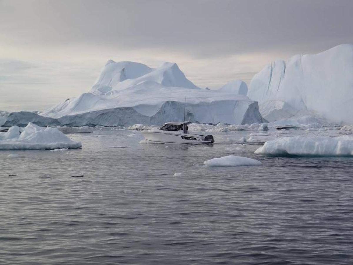 2026 Jeanneau NC 695