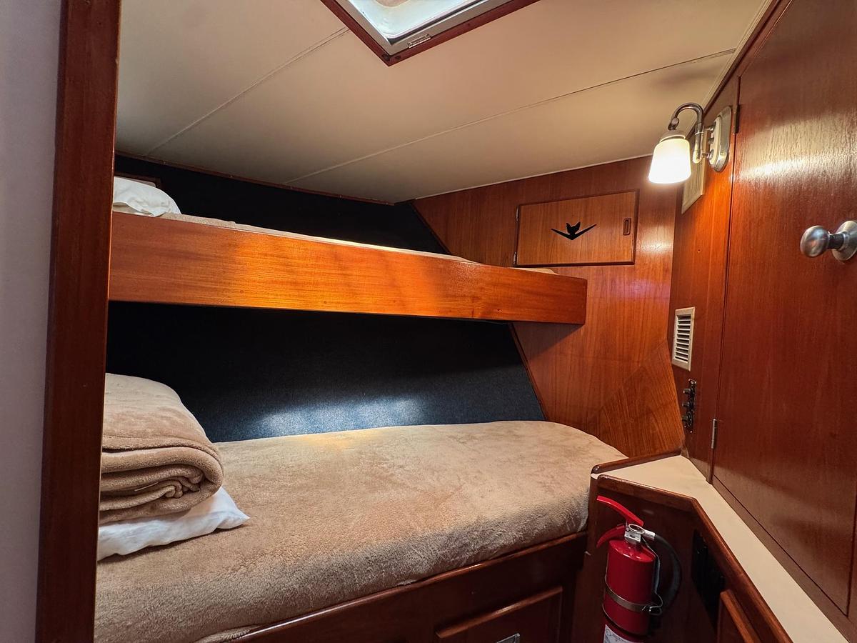 Used 1981 Bertram 58 Flybridge Motor Yacht