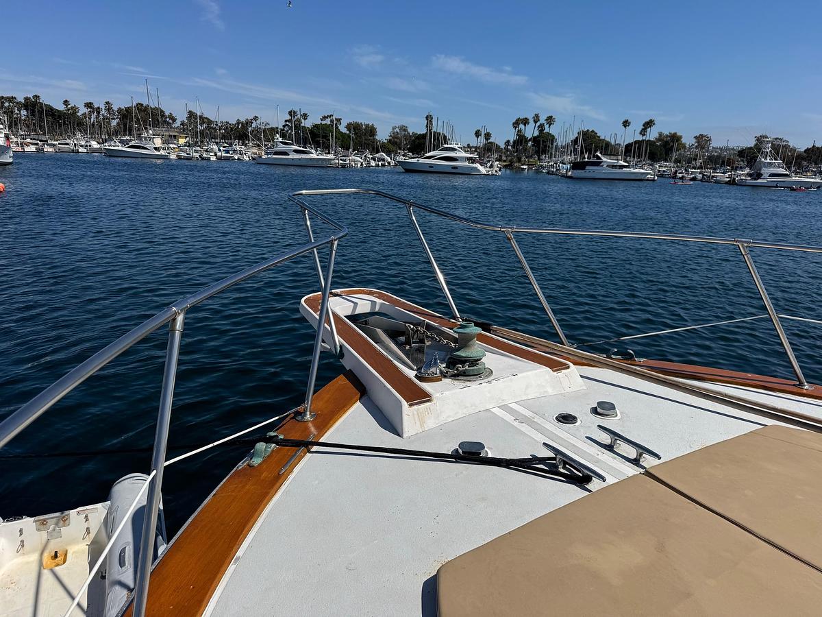 Used 1981 Bertram 58 Flybridge Motor Yacht