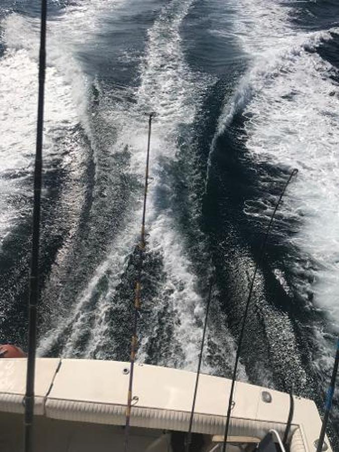 Used 1988 Jersey 40FT Convertible