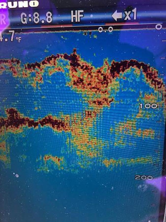 Used 1979 Chaparral 224 Fisherman