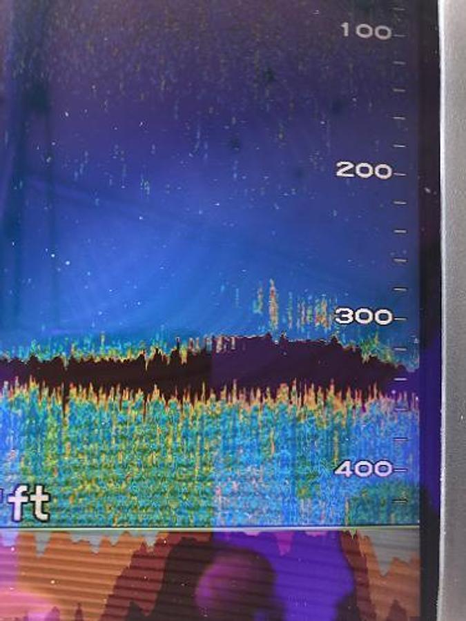 Used 1979 Chaparral 224 Fisherman